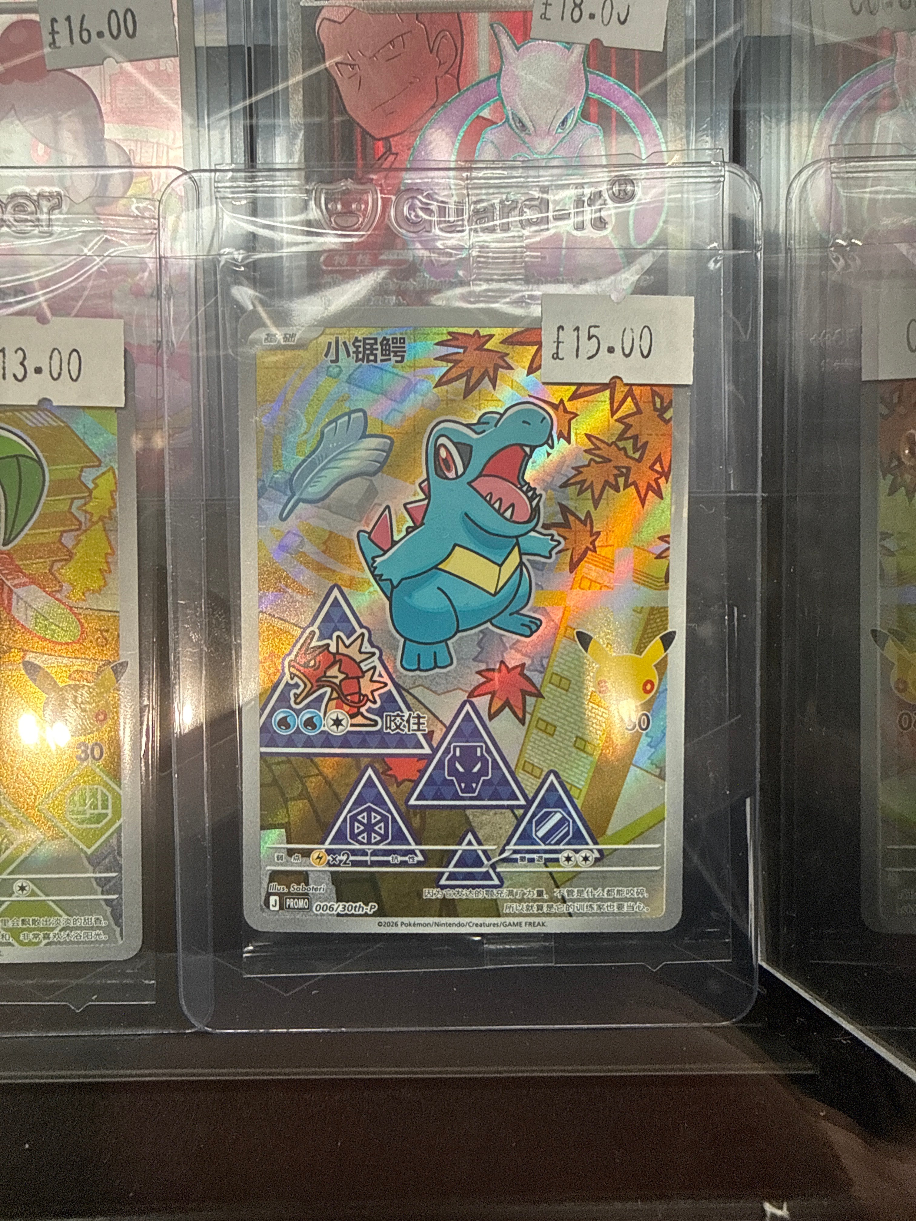 First partner totodile