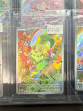 Chikorita