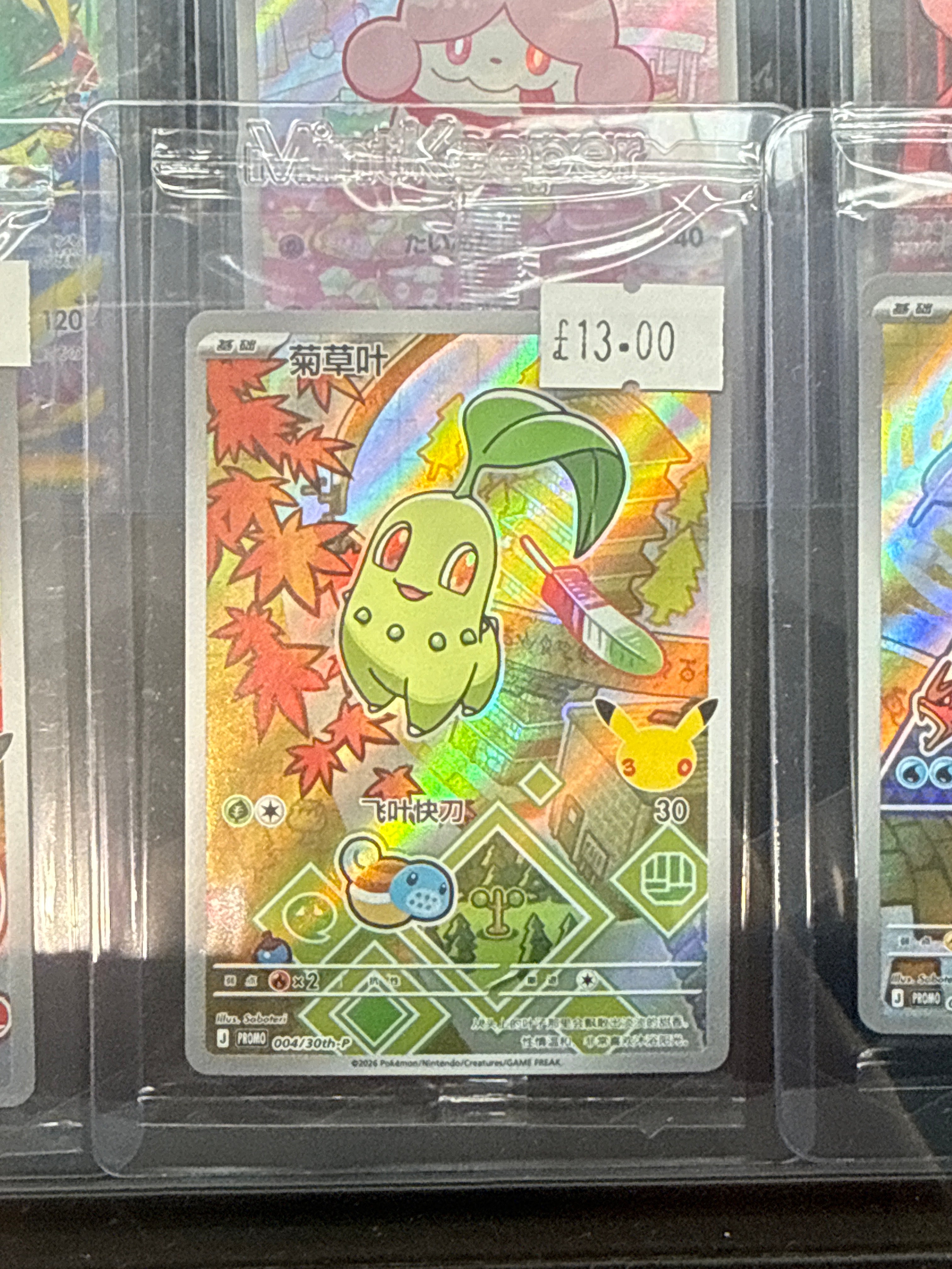 Chikorita