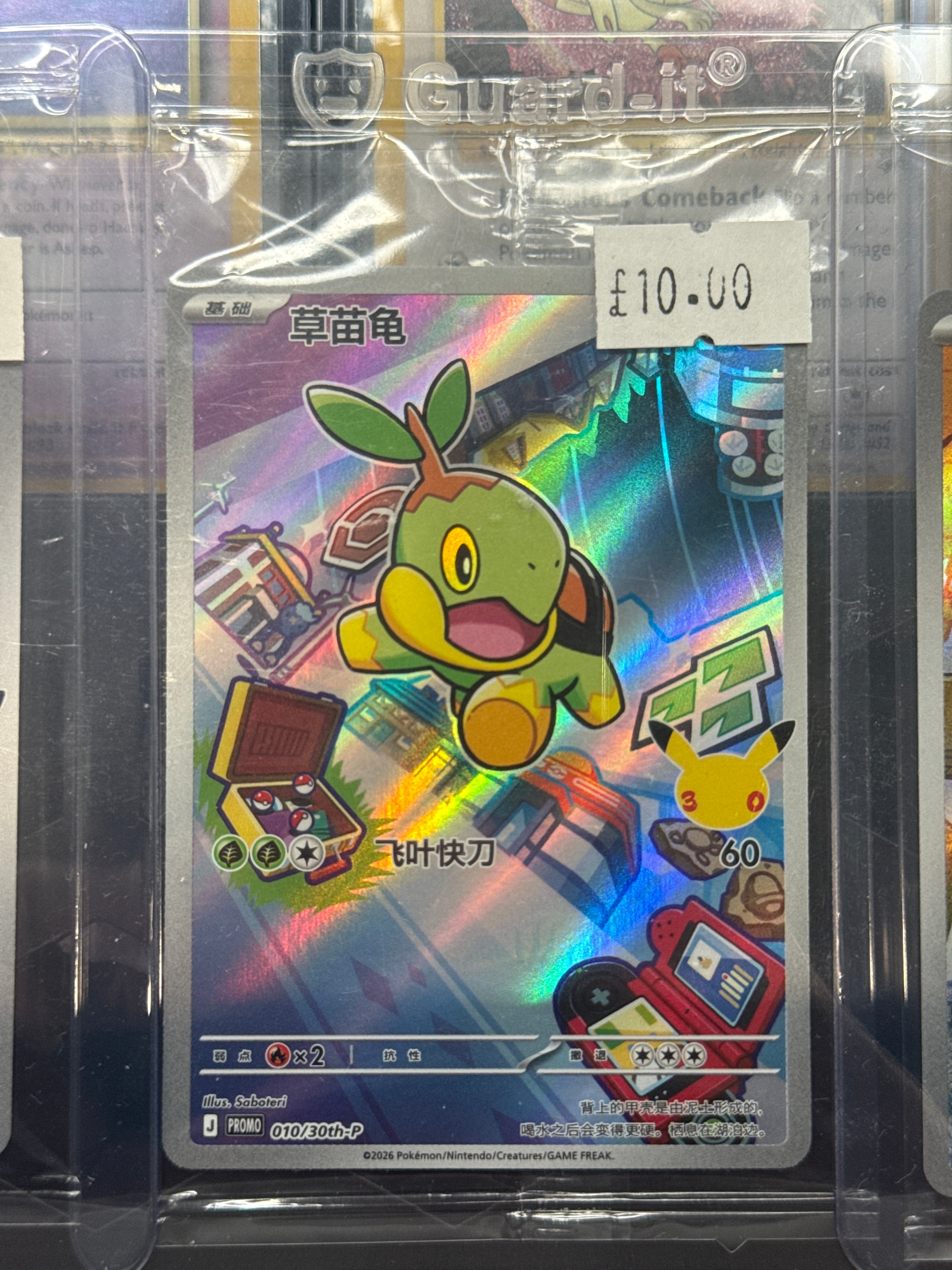 First partner Turtwig
