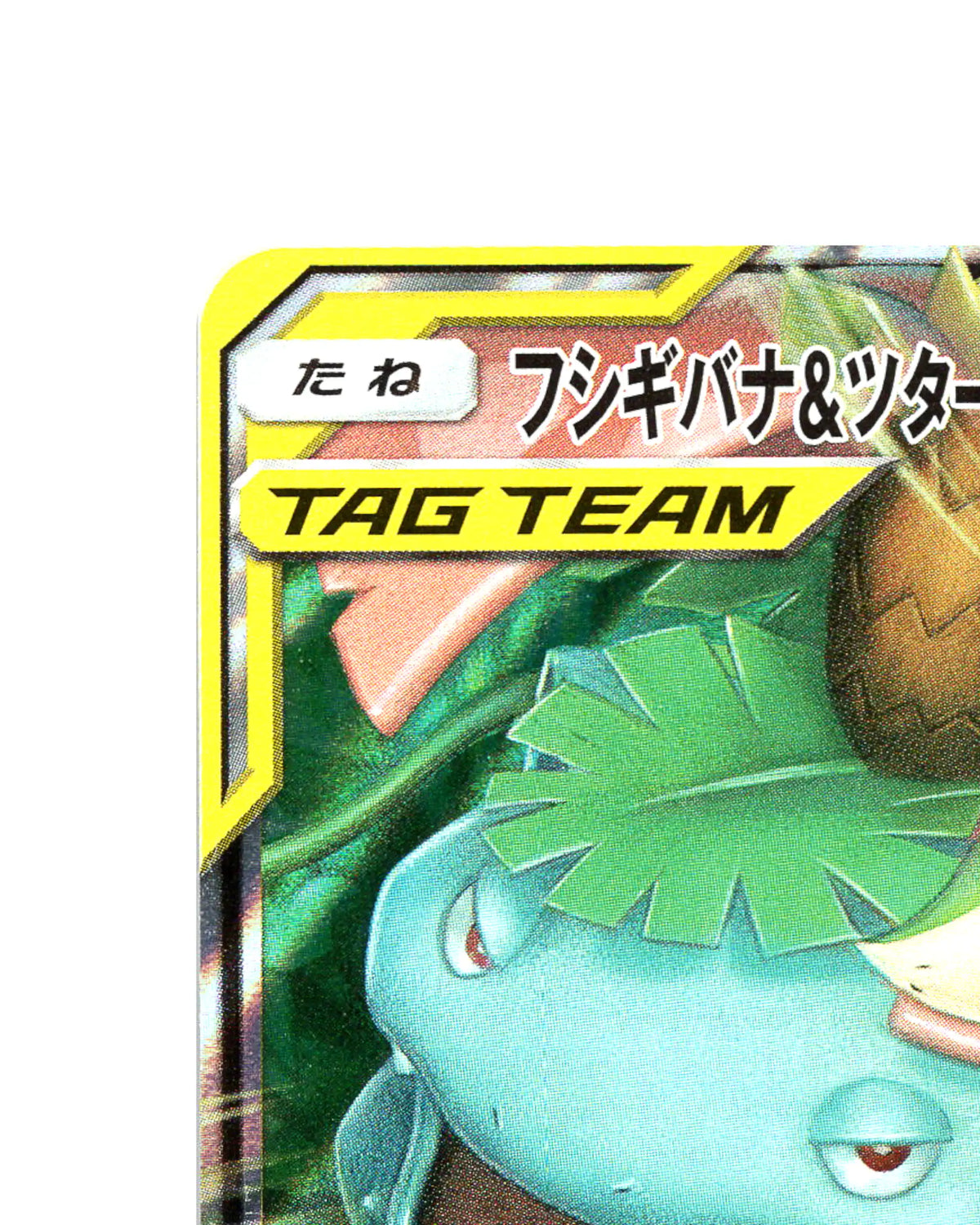 Venusaur and Snivy GX 001/064 - face top left corner