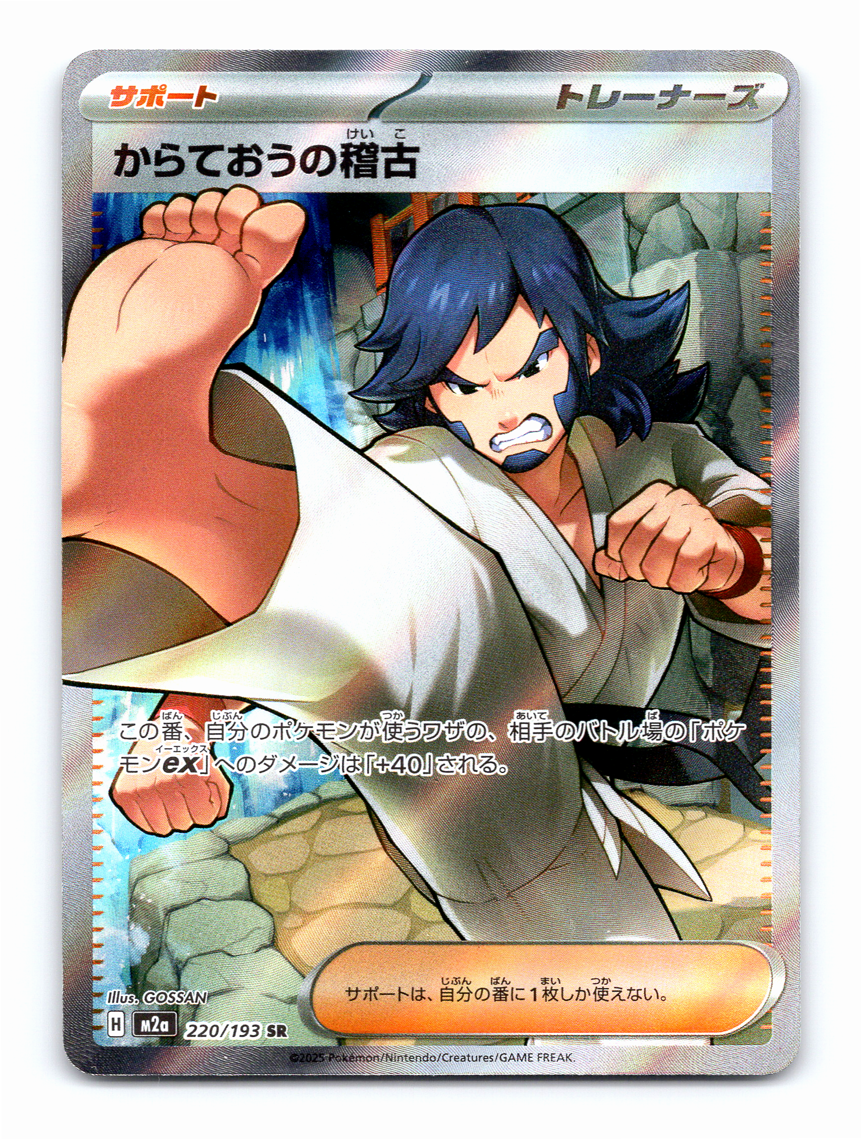 Black Belt's Training Holo Super Rare M2a: High Class Pack: MEGA Dream ex 220/193
