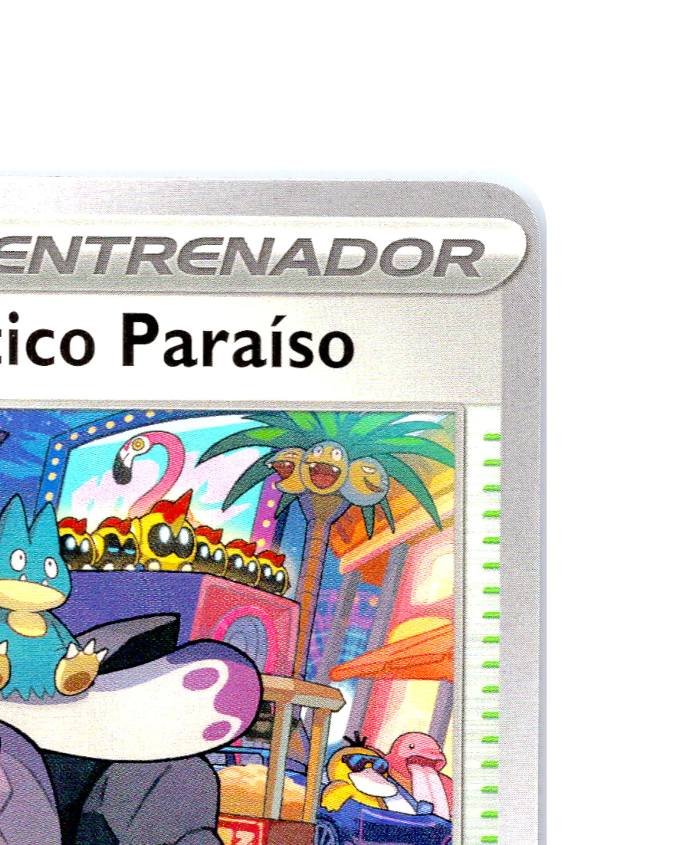 Complejo Turístico Paraíso | 224