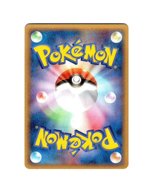 Ash's Grovyle | 001-020