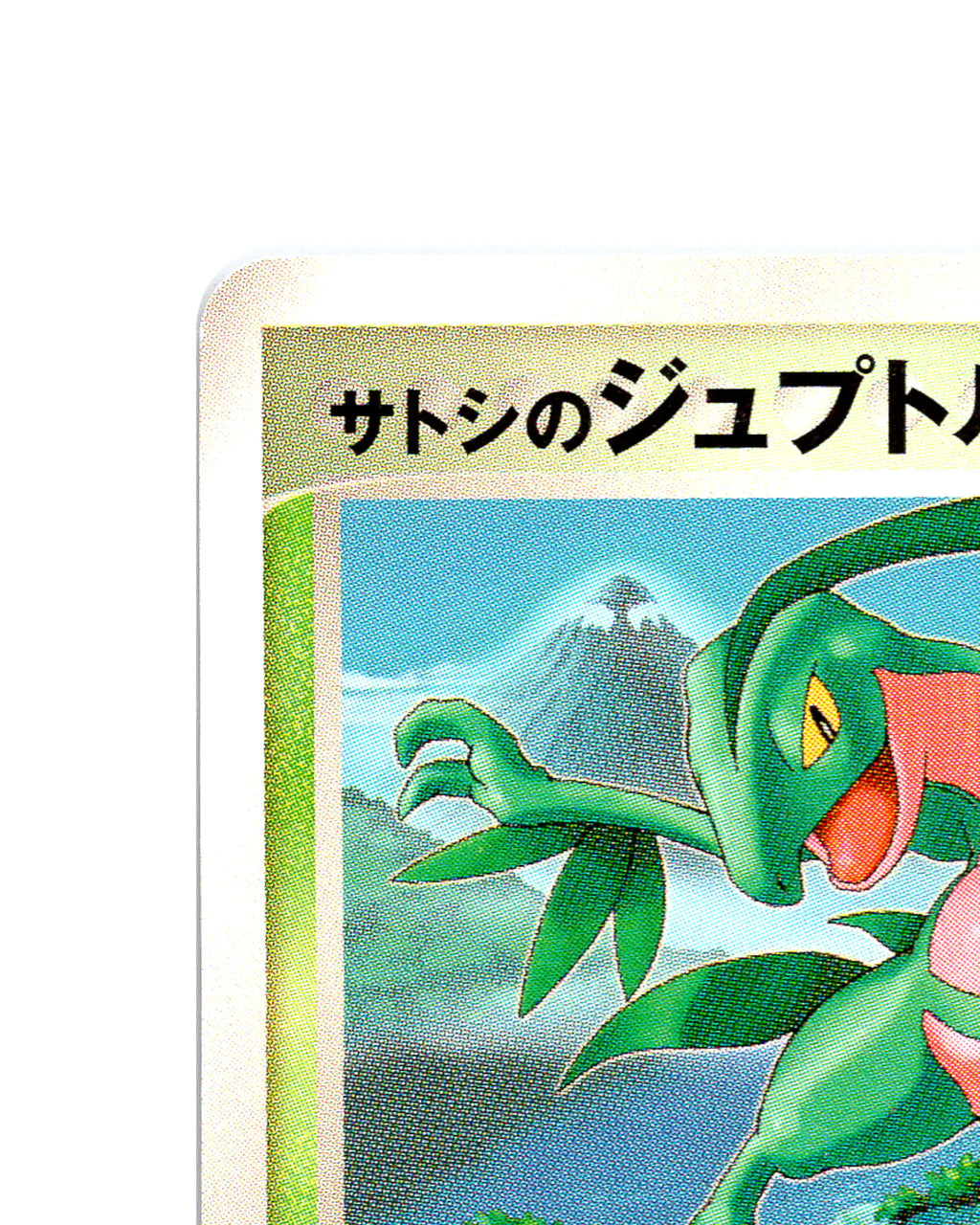 Ash's Grovyle | 001-020