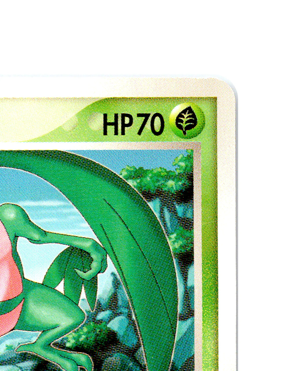 Ash's Grovyle | 001-020