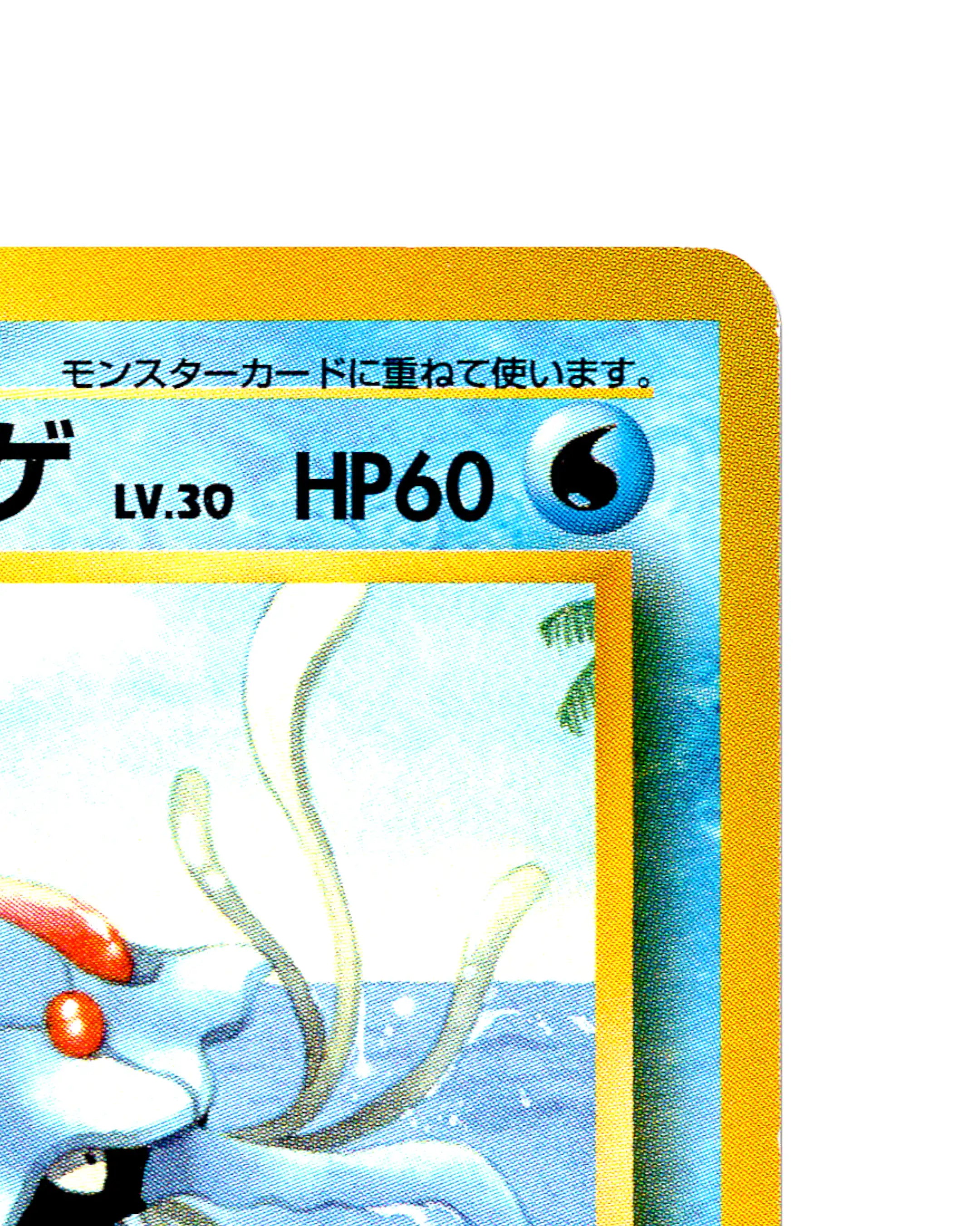 Tentacruel | 073