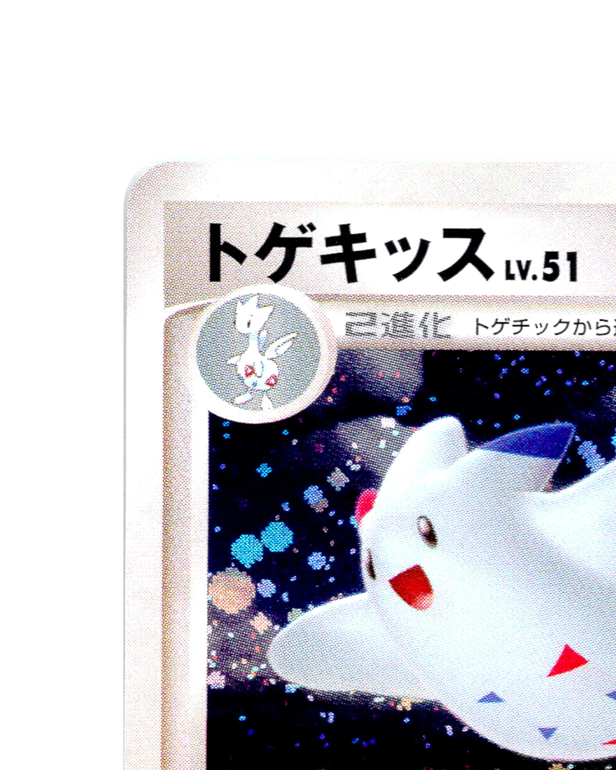 Toge Kiss | DPBP204
